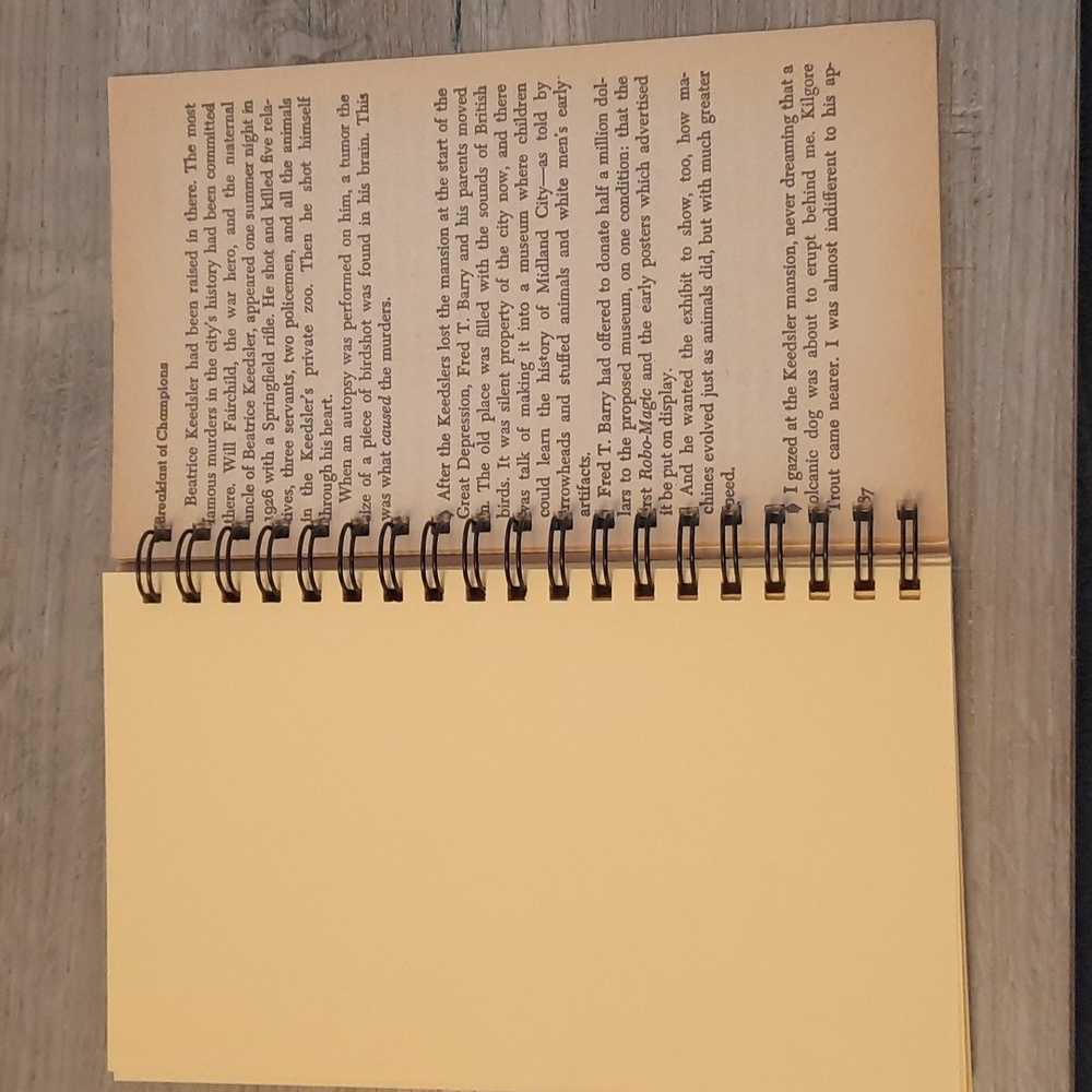 Secret Journal Breakfast of Champions - Picture 4 of 7